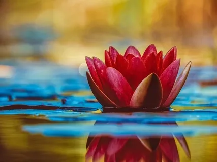 Come Back To Your Practice 