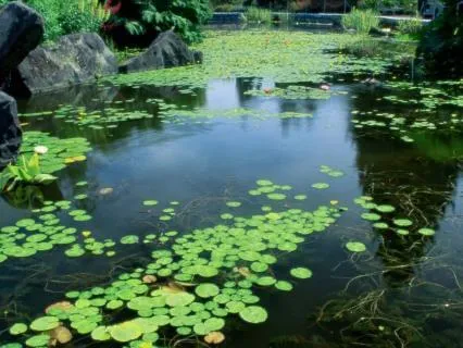 Come Back To Yourself: A Meditation For Stress & Self-Care