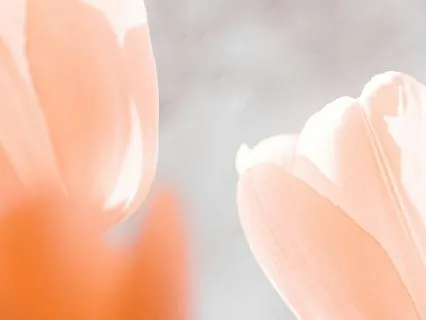 Reclaiming Inner Peace: Come Back To Yourself