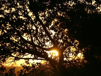 Come Back To Yourself - Daily Homecoming