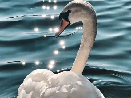 Come Down From Crisis - Supportive Space