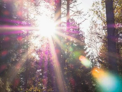 Come Home To The Truth Within You