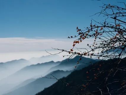 Come Home To Your Body