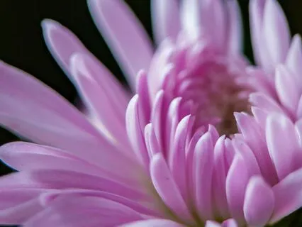 Come Home To Your Power