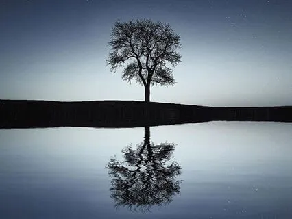 Come Home To Yourself