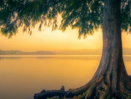 Come Into Stillness For Stress Release