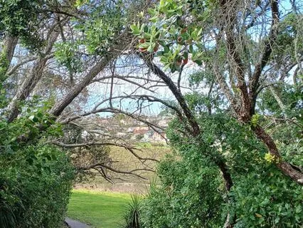 Come To A Place Of Calm