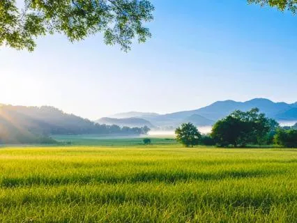 Come To Me:A Christian Meditation On Rest (Matthew 11:28–29)