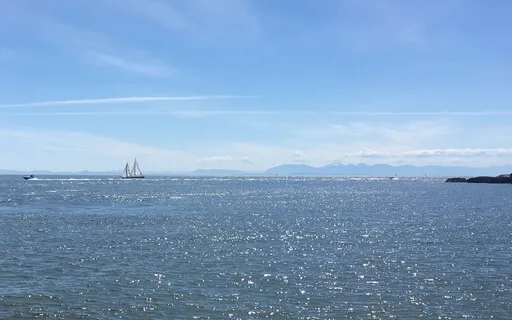 Come To Your Senses: Hearing