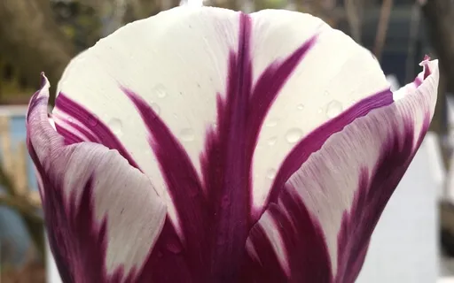 Come To Your Senses: Sight