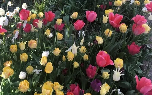 Come To Your Senses: Smell