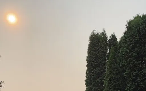 Come To Your Senses: Taste