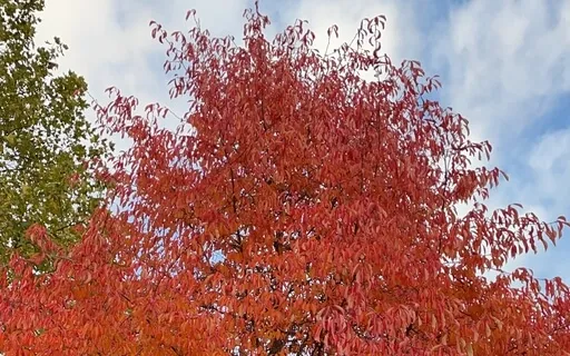 Come To Your Senses: Touch