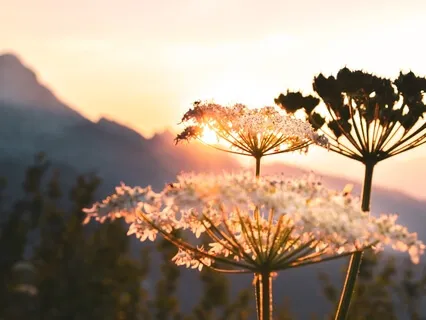 Começa o Dia a Respirar