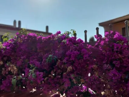 Comfort Difficult Feelings