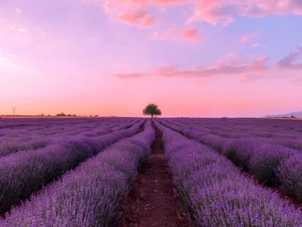 Comfort During Uncertain Times