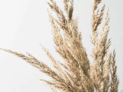 Comfort For Deep Feeling Sensitive Souls In A Painful World