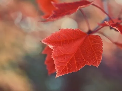 Comfort In Times Of Uncertainty