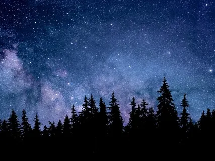 Comfort Of The Cosmos