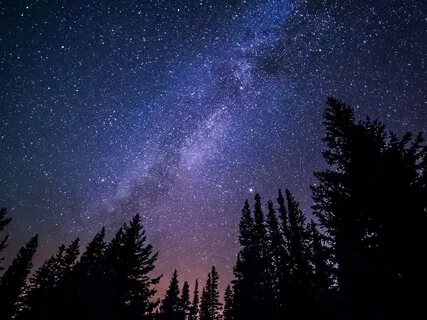 Comfort Sleep & Free Mind