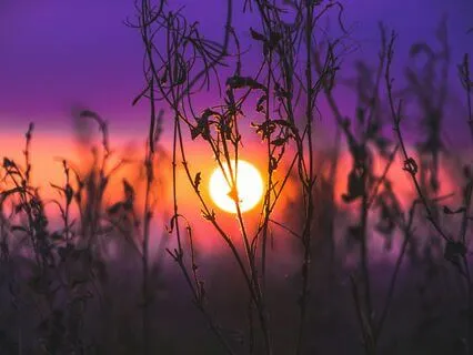 Comfort Your Nervous System