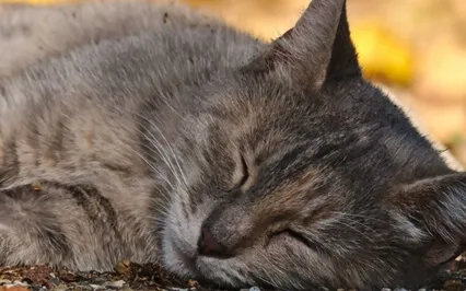 Comfortable Here (7 min)