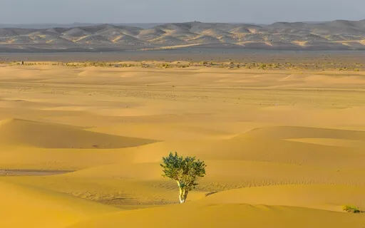 Comforting And Supportive Gestures