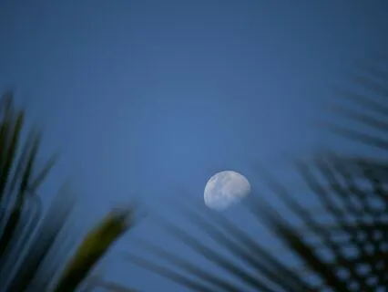 Comforting Calm: Let Anxiety Drift Away