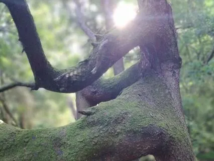 Comforting - Flow Series Part Two