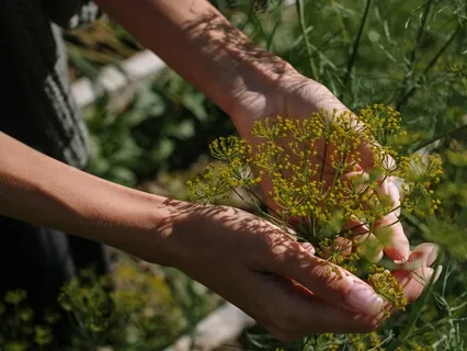 Coming Back Home To Yourself: The Seed Of Life