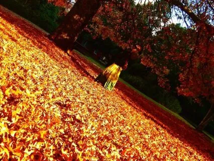 Coming Back Into Presence