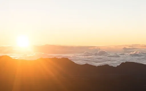 Coming Back Into The Body