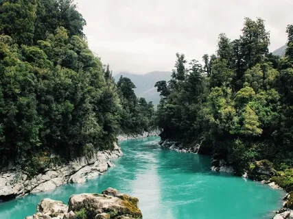 Coming Back To Our Senses- Experiencing The Present