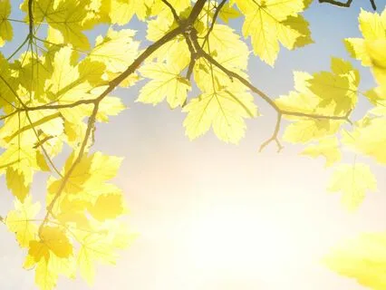 Coming Back To Positive Mornings