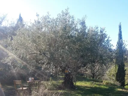 Coming Back To The Light