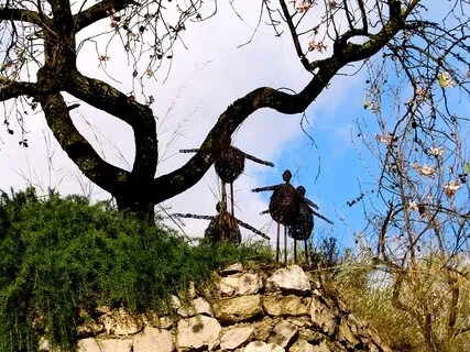 Coming Back To The Present Moment