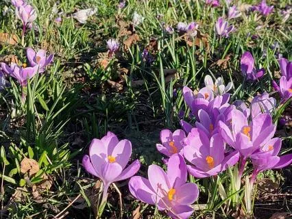 Coming Back To Yourself