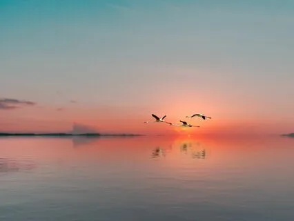 Coming Down, Calming Down