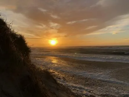 Coming Fully Into The Body