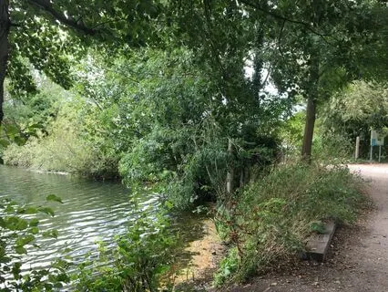 Coming Home Ancestral Sounds