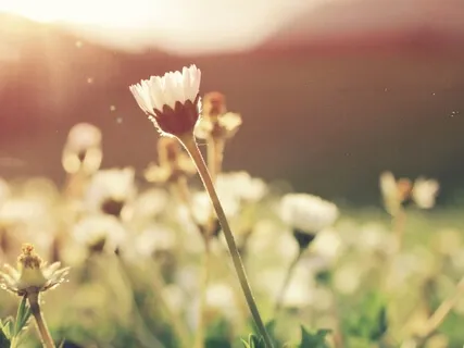 Coming Home (Extended Version)