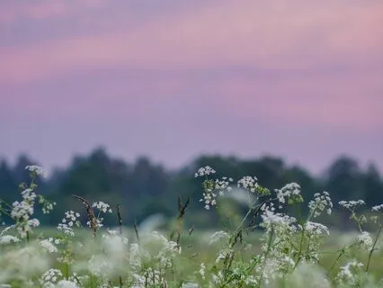 Coming Home Guided Relaxation - Full Body Relaxation