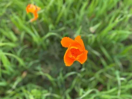 Coming Home To Center