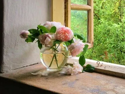 Coming Home To Love - Loving Yourself And Loving Others