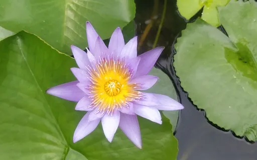 Coming Home To Now With Kindness