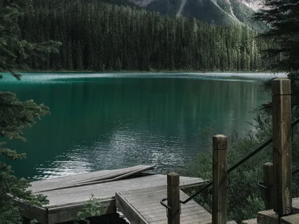 Coming Home To Peace