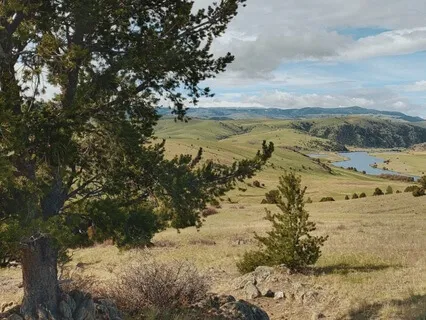 Coming Home To Safety