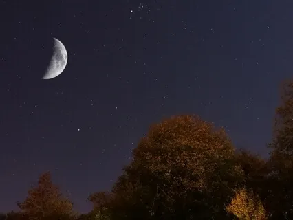 Coming Home To The Body