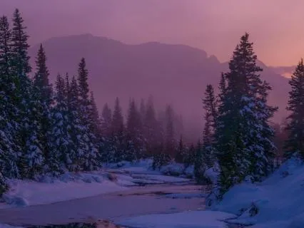 Coming Home To The Body: A Somatic Grounding Meditation