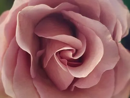 Coming Home To The Body | Automatic Writing Practice